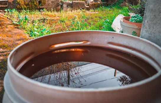 Rep&uacute;blica Dominicana cierra el 2025 con cero muertes asociadas al dengue