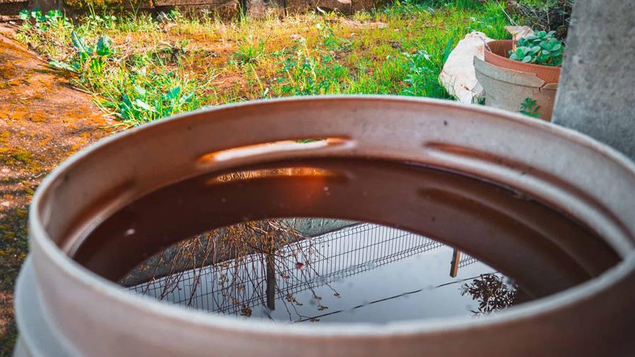 República Dominicana cierra el 2025 con cero muertes asociadas al dengue República Dominicana cierra el 2025 con cero muertes asociadas al dengue