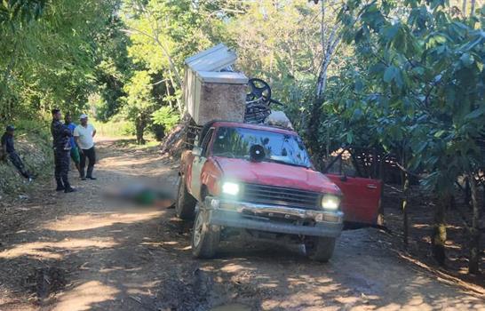 Dos hombres mueren electrocutados al caer cable el&eacute;ctrico sobre su camioneta en Gaspar Hern&aacute;ndez