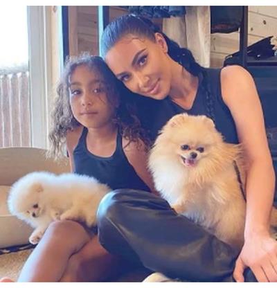 Kim Kardashian genera controversia tras regalar un cachorro a cada uno de sus hijos en Navidad