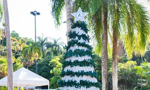 Inauguran el Recicl&aacute;rbol 2025 en el Jard&iacute;n Bot&aacute;nico