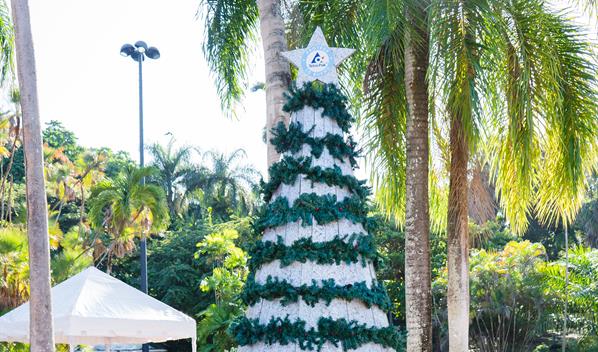 Inauguran el Recicl&aacute;rbol 2025 en el Jard&iacute;n Bot&aacute;nico