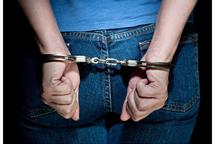 Himno l&eacute;sbico: arrestan en el AILA a escritora imputada por ultraje al Himno Nacional