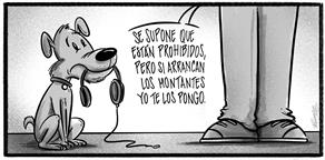 Caricatura de Noticiero Poteleche 31 diciembre 2025