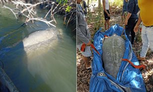 Descartan signos de pesca ilegal en manat&iacute; hallado muerto en Miches