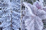 Valle Nuevo registra temperaturas extremas de hasta -7 grados celsius