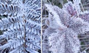 Valle Nuevo registra temperaturas extremas de hasta -7 grados celsius