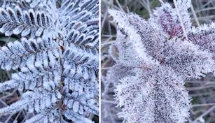 Valle Nuevo registra temperaturas extremas de hasta -7 grados celsius