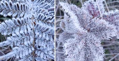 Valle Nuevo registra temperaturas extremas de hasta -7 grados celsius