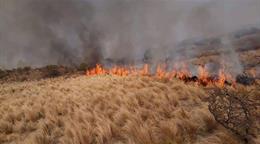 Siete provincias de Argentina en alerta por incendios, que ya arrasaron miles de hect&aacute;reas