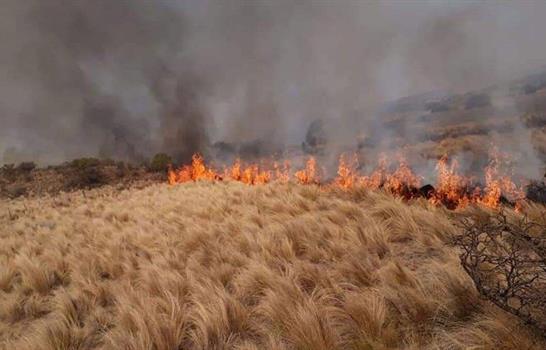 Siete provincias de Argentina en alerta por incendios, que ya arrasaron miles de hect&aacute;reas