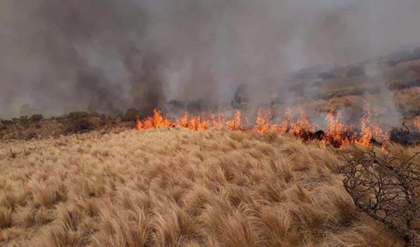 Siete provincias de Argentina en alerta por incendios, que ya arrasaron miles de hect&aacute;reas