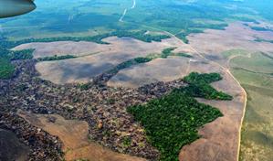 La deforestaci&oacute;n en la Amazon&iacute;a colombiana cae un 25 % en los primeros nueve meses de 2025