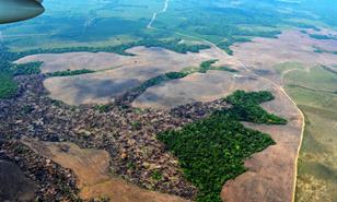 La deforestaci&oacute;n en la Amazon&iacute;a colombiana cae un 25 % en los primeros nueve meses de 2025