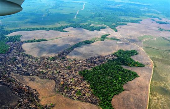 La deforestaci&oacute;n en la Amazon&iacute;a colombiana cae un 25 % en los primeros nueve meses de 2025