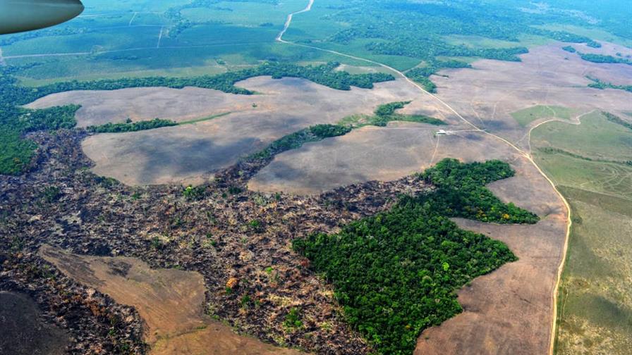 La deforestaci&oacute;n en la Amazon&iacute;a colombiana cae un 25 % en los primeros nueve meses de 2025