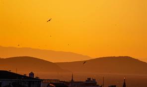 Las regiones del mundo que vivieron un a&ntilde;o de calor r&eacute;cord en 2025