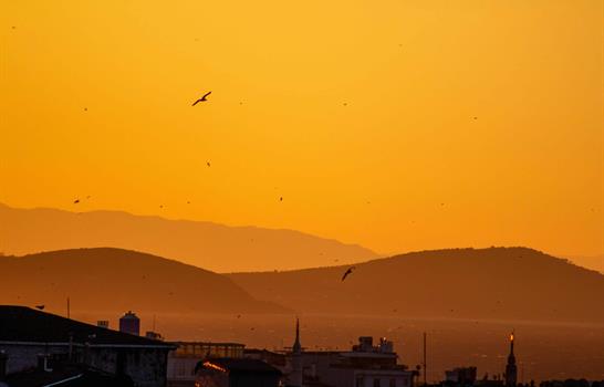 Las regiones del mundo que vivieron un a&ntilde;o de calor r&eacute;cord en 2025