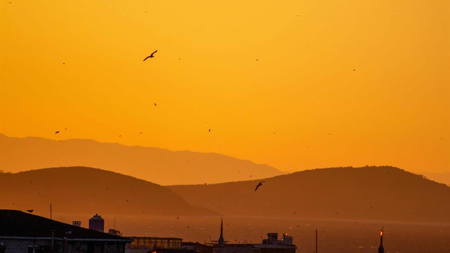 Las regiones del mundo que vivieron un año de calor récord en 2025 Las regiones del mundo que vivieron un año de calor récord en 2025