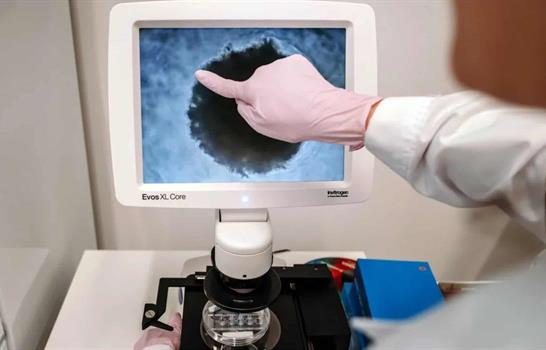 China grava medicamentos y dispositivos anticonceptivos para estimular la natalidad