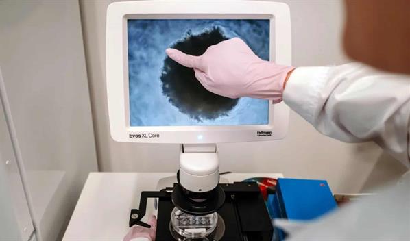 China grava medicamentos y dispositivos anticonceptivos para estimular la natalidad