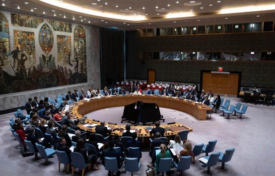 Colombia asume mandato como miembro del Consejo de Seguridad de la ONU