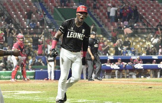 El Escogido luce indetenible; Toros no ceden; el Cibao busca regresar