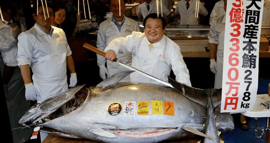 At&uacute;n alcanza precio r&eacute;cord de 3,1 millones de d&oacute;lares en primera subasta del a&ntilde;o en Tokio