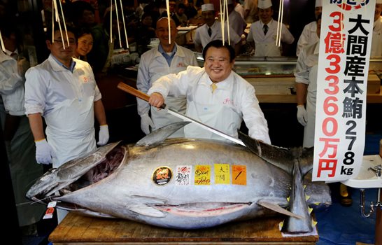 At&uacute;n alcanza precio r&eacute;cord de 3,1 millones de d&oacute;lares en primera subasta del a&ntilde;o en Tokio