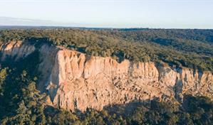 Mortalidad de los &aacute;rboles se acelera en Australia a medida que el clima se calienta, seg&uacute;n estudio
