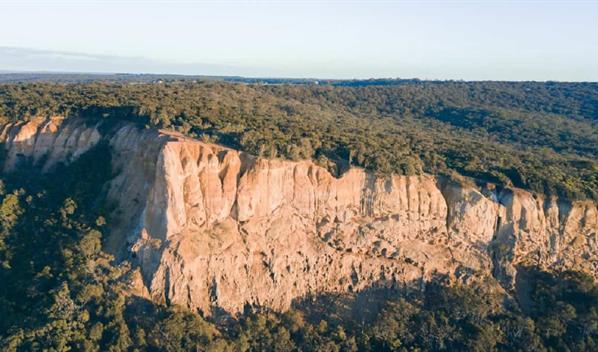 Mortalidad de los &aacute;rboles se acelera en Australia a medida que el clima se calienta, seg&uacute;n estudio