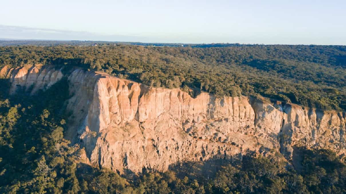 Mortalidad de los &aacute;rboles se acelera en Australia a medida que el clima se calienta, seg&uacute;n estudio