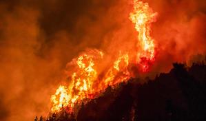 M&aacute;s de cuatro mil hect&aacute;reas arrasadas por los incendios en la Patagonia argentina