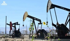 Wall Street abre agosto al alza por ca&iacute;da del petr&oacute;leo y expectativas de distensi&oacute;n con Ir&aacute;n