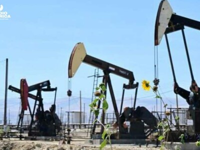 US stocks surge as oil prices drop and tech shares rally