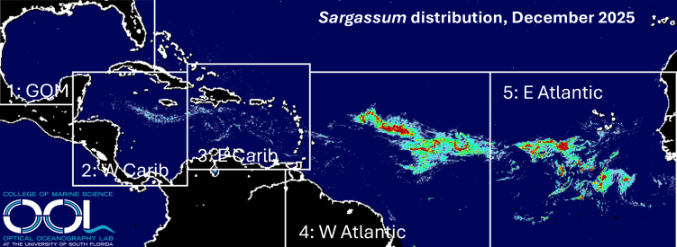 [object HTMLTextAreaElement]