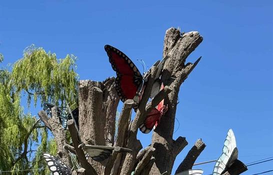 Patagonia: la escala, el polvo, el agua que falta, el viento que embiste