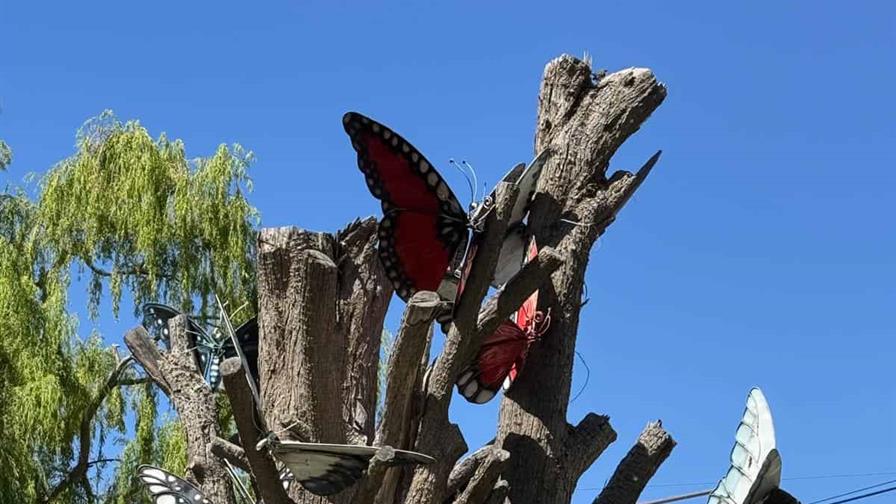 Patagonia: la escala, el polvo, el agua que falta, el viento que embiste