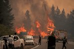 Incendios forestales arrasan m&aacute;s de 15,000 hect&aacute;reas en la Patagonia argentina
