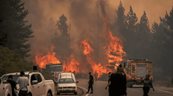 Incendios forestales arrasan m&aacute;s de 15,000 hect&aacute;reas en la Patagonia argentina