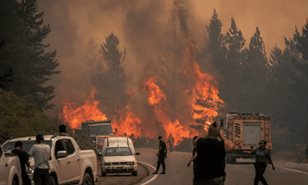 Incendios forestales arrasan m&aacute;s de 15,000 hect&aacute;reas en la Patagonia argentina