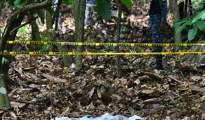 Aseguran que cortina hallada en finca no estaba en el lugar durante primeras b&uacute;squedas de Brianna