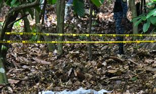 Aseguran que cortina hallada en finca no estaba en el lugar durante primeras b&uacute;squedas de Brianna