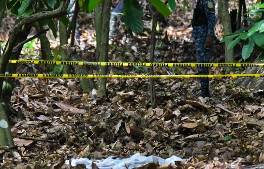 Aseguran que cortina hallada en finca no estaba en el lugar durante primeras b&uacute;squedas de Brianna