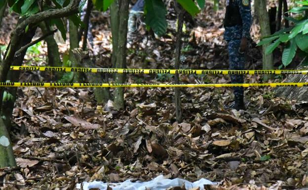 Aseguran que cortina hallada en finca no estaba en el lugar durante primeras b&uacute;squedas de Brianna