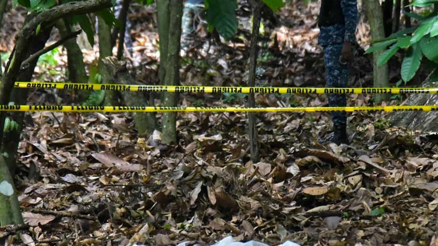 Aseguran que cortina hallada en finca no estaba en el lugar durante primeras búsquedas de Brianna Aseguran que cortina hallada en finca no estaba en el lugar durante primeras búsquedas de Brianna