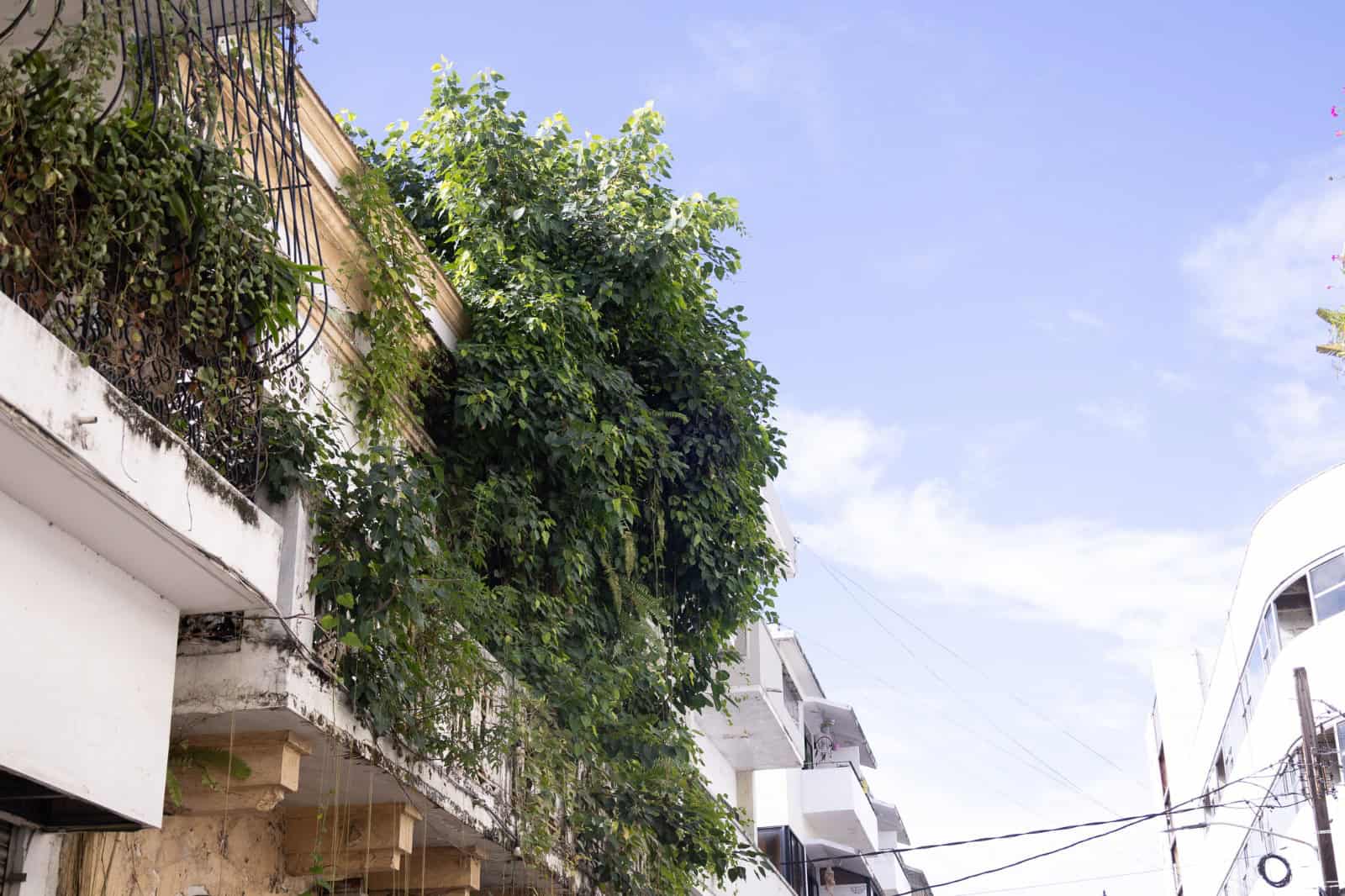 Algunas edificaciones en estado de abandono.