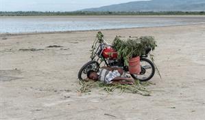 C&oacute;mo la percepci&oacute;n y las emociones normalizan el deterioro ambiental