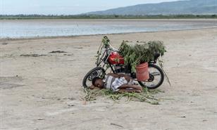 C&oacute;mo la percepci&oacute;n y las emociones normalizan el deterioro ambiental