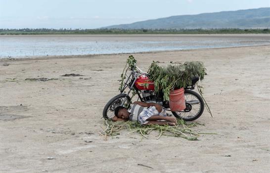 C&oacute;mo la percepci&oacute;n y las emociones normalizan el deterioro ambiental
